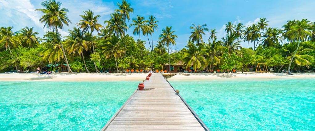 imagen a la que le aplicamos un desenfoque